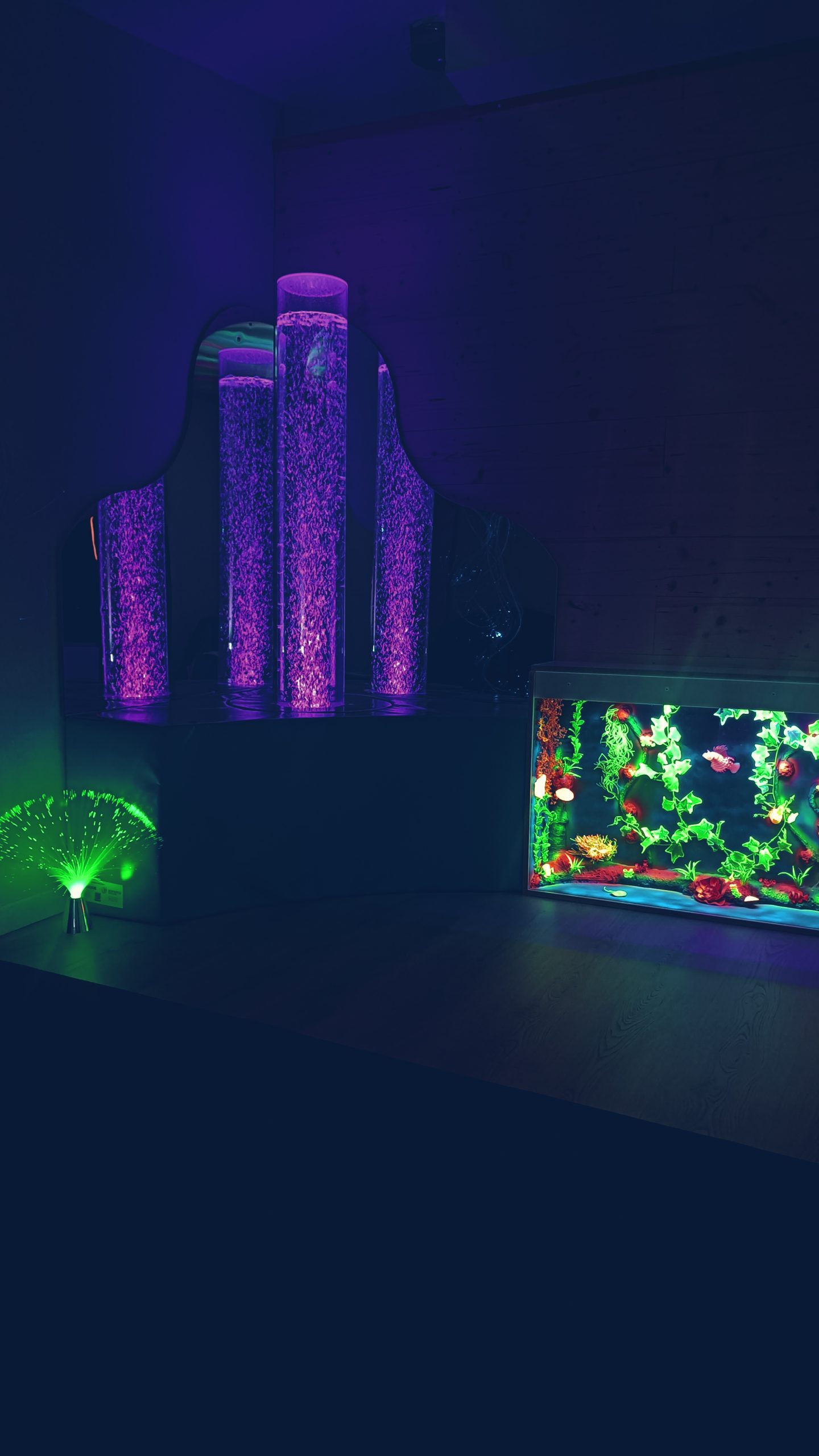 Salle sensorielle immersive Jardin des Sens